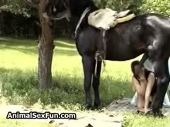 In a girl's sex horse action, a chubby whore licks a horse's dick while enjoying vicious, beastial sex.